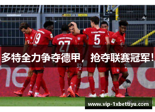 多特全力争夺德甲，抢夺联赛冠军！