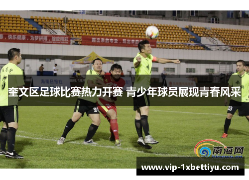 奎文区足球比赛热力开赛 青少年球员展现青春风采